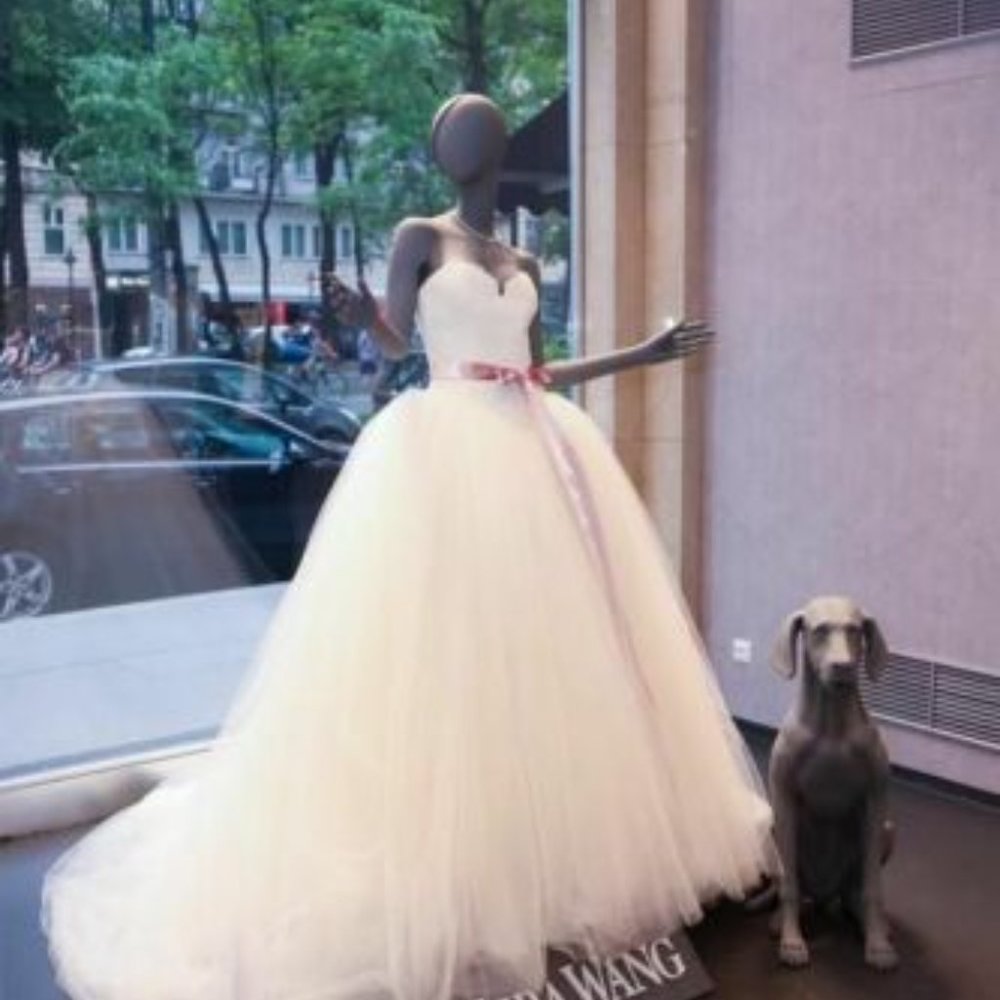 Vera Wang Bride Wars Ball Gown Silk Tulle Size 2 worn once, Cathedral Veil Incl